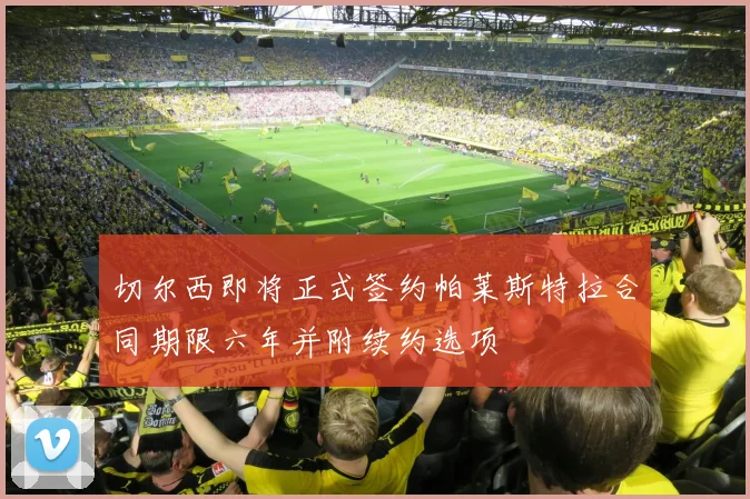 切尔西即将正式签约帕莱斯特拉合同期限六年并附续约选项
