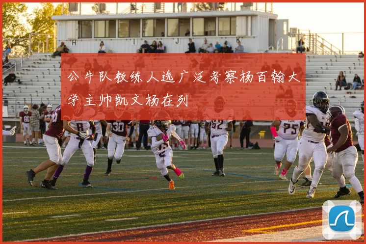 公牛队教练人选广泛考察杨百翰大学主帅凯文杨在列