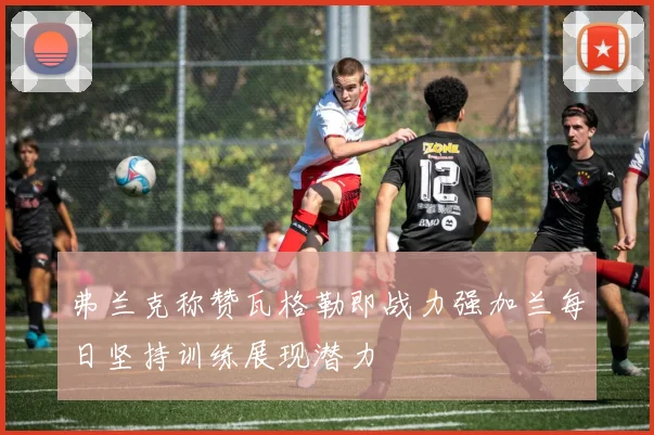 弗兰克称赞瓦格勒即战力强加兰每日坚持训练展现潜力